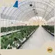 Greenhouse Hoops for Sale ISO/CE - - Jianda Greenhouse 1