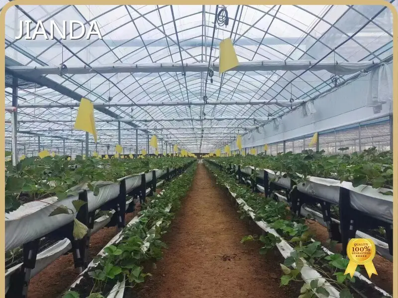 Tropical Greenhouse in Cold Climate Negotiate - - Jianda Greenhouse 1