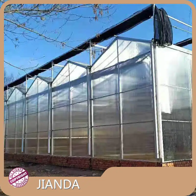 Buy Tomato Greenhouse QINGDAO - - Jianda Greenhouse 1
