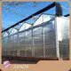 Buy Tomato Greenhouse QINGDAO - - Jianda Greenhouse 1