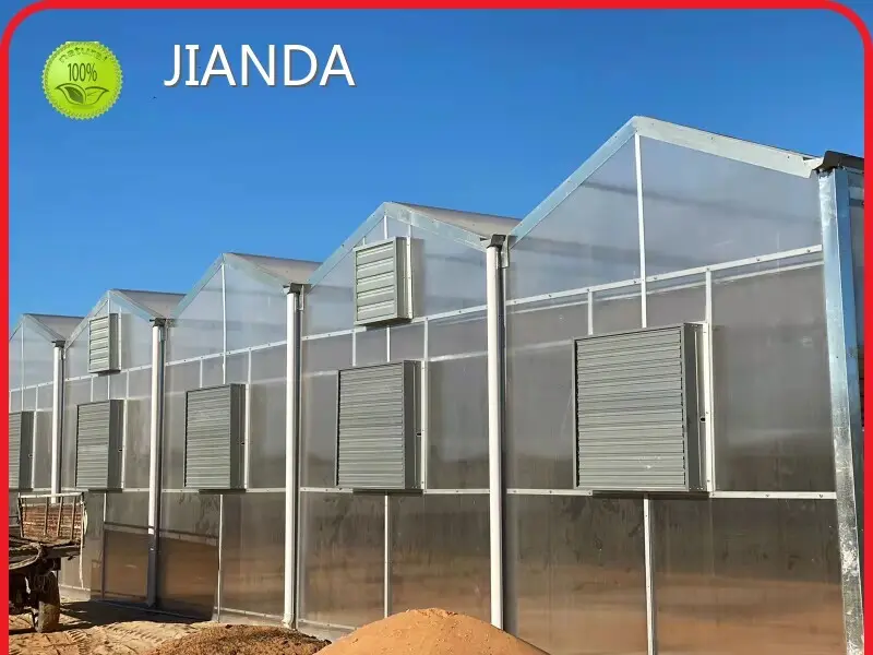 Twin Wall Greenhouse Polycarbonate Available - - Jianda Greenhouse 1
