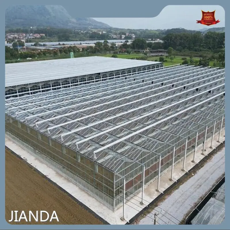 Custom Greenhouses T/T - - Jianda Greenhouse 1