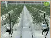 Glass Greenhouse ISO/CE - - Jianda Greenhouse 1