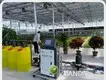 Glass Greenhouse for Sale QINGDAO by Jianda Greenhouse 1