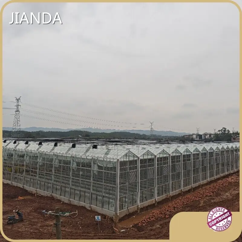 Agricultural Greenhouses for Sale L/C by Jianda Greenhouse 1