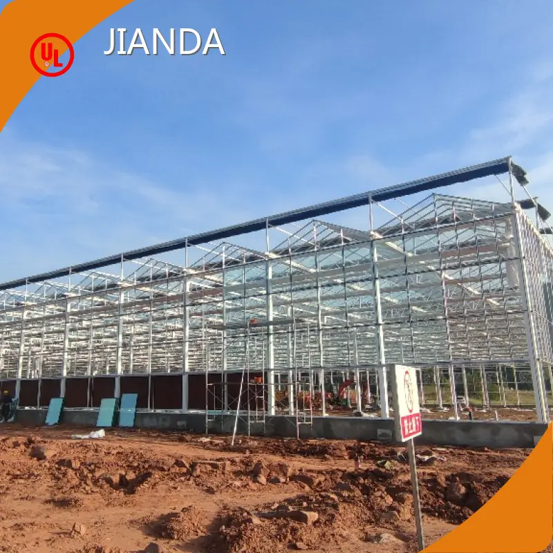 Tomato Grow Houses 1500 Square Meter by Jianda Greenhouse 1