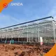 Tomato Grow Houses 1500 Square Meter by Jianda Greenhouse 1