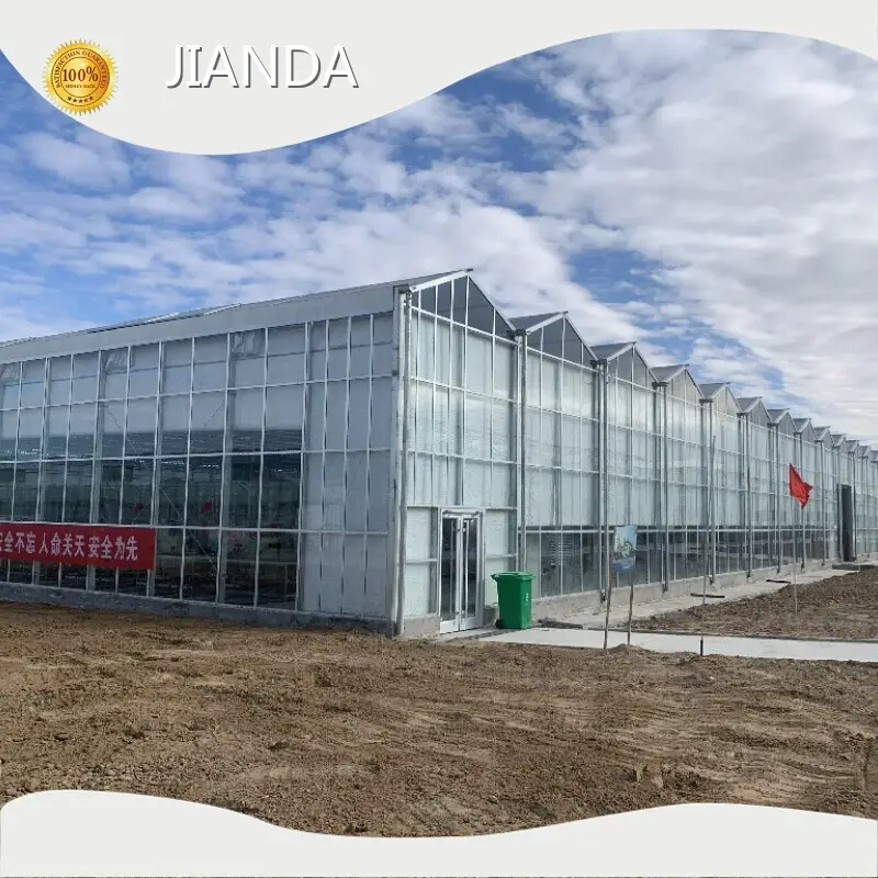 Greenhouses for Sale ISO/CE - - Jianda Greenhouse-2 1