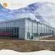 Greenhouses for Sale ISO/CE - - Jianda Greenhouse-2 1