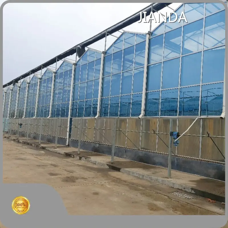 Intelligent Greenhouse 1500 Square Meter by Jianda Greenhouse 1