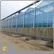 Intelligent Greenhouse 1500 Square Meter by Jianda Greenhouse 1