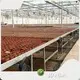 Hydroponic Greenhouse for Sale Available by Jianda Greenhouse 1