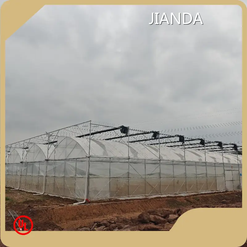 Tropical Greenhouse for Sale JIANDA by Jianda Greenhouse 1
