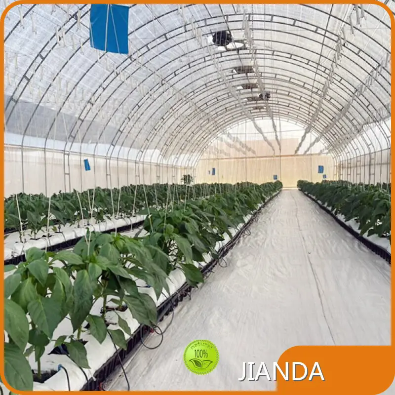 Custom Greenhouses Negotiate by Jianda Greenhouse 1