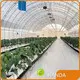 Custom Greenhouses Negotiate by Jianda Greenhouse 1
