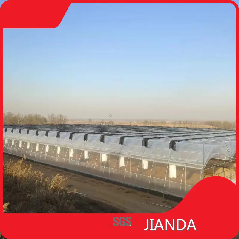 Greenhouse Plastic Double Layer Negotiate - - Jianda Greenhouse 1