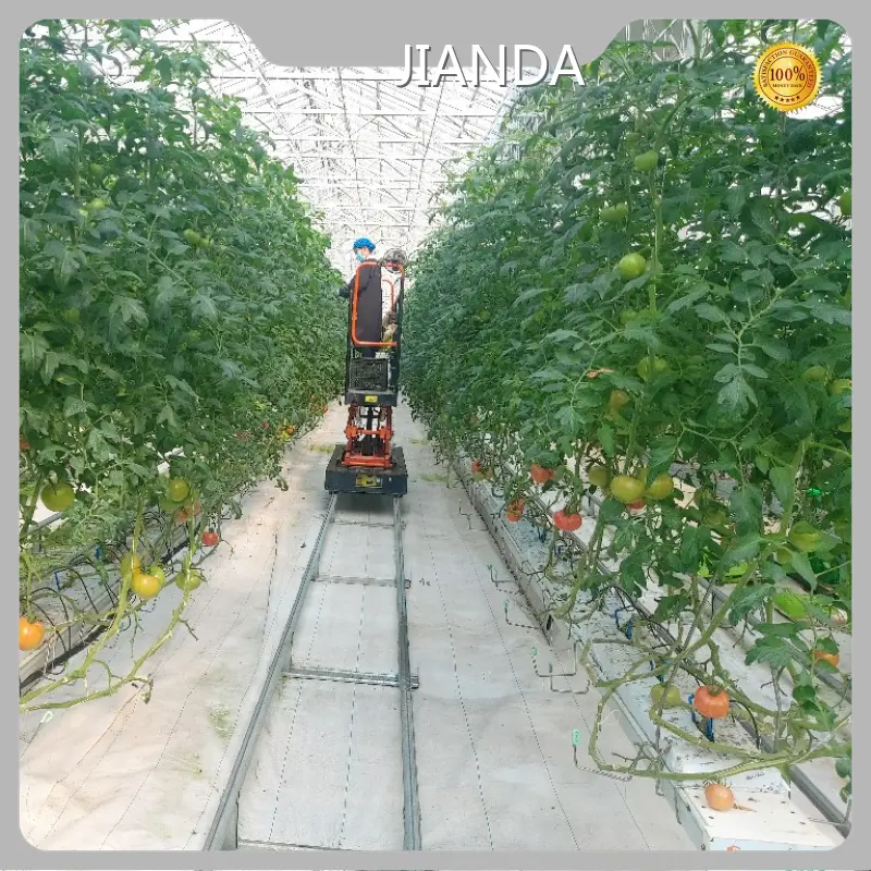 Tomato Greenhouse Plastic QINGDAO - - Jianda Greenhouse 1