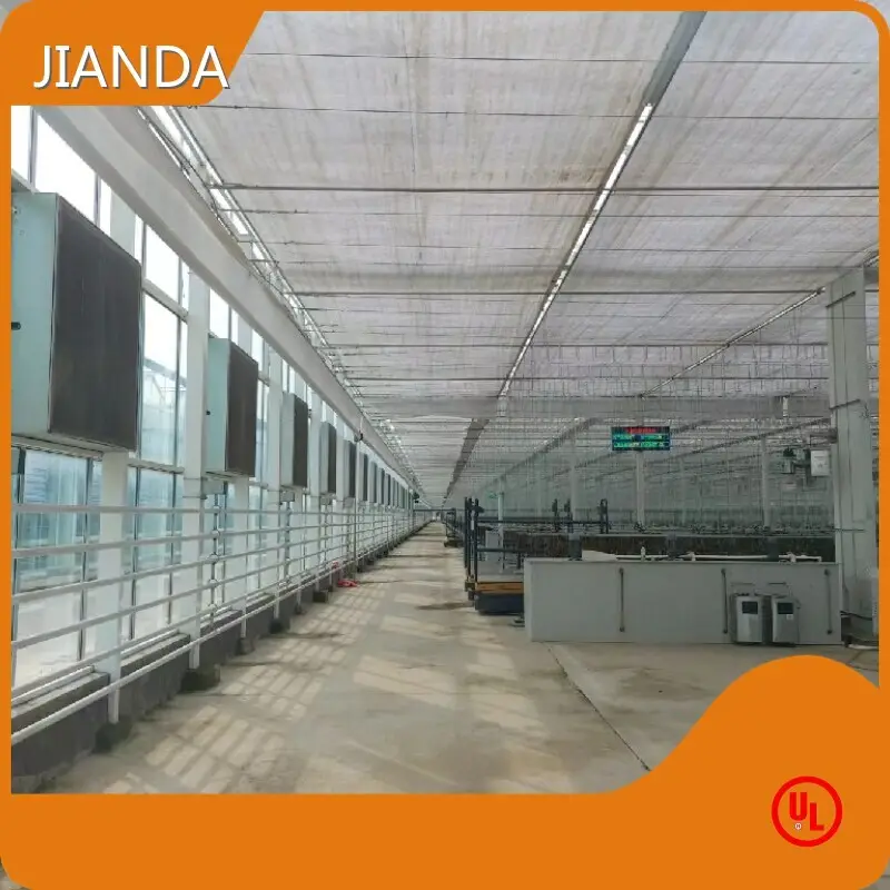 Vegetable Greenhouse for Sale JIANDA - - Jianda Greenhouse 1
