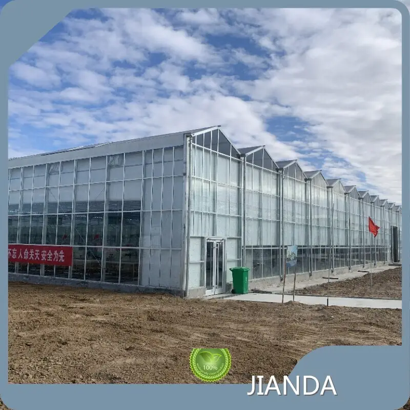 Venlo Greenhouse Structure QINGDAO - - Jianda Greenhouse 1