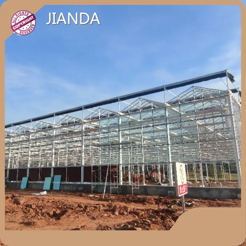 Glass Greenhouse for Sale Available by Jianda Greenhouse-1 1