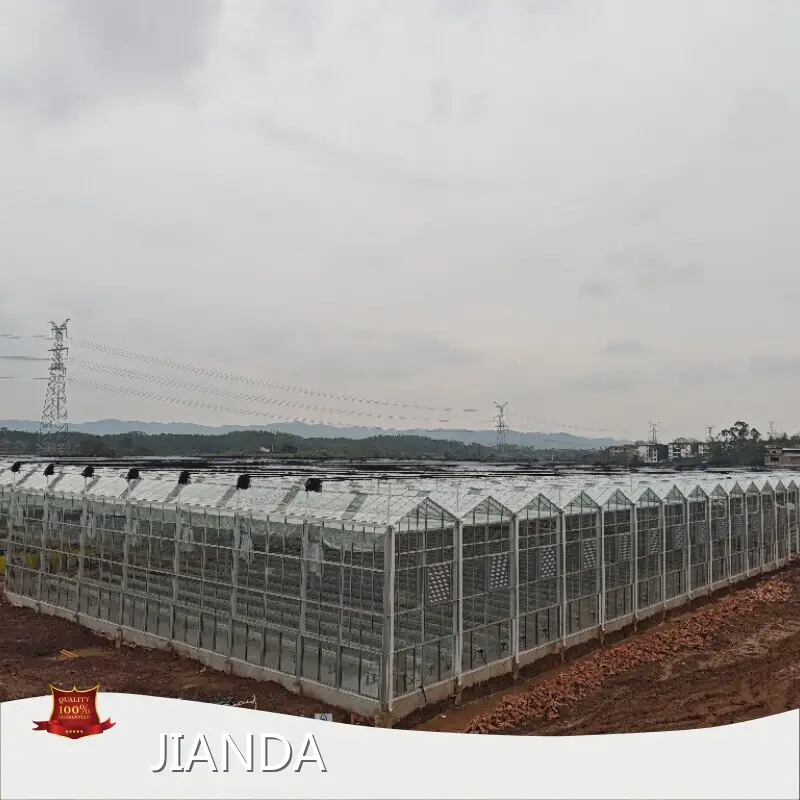 Green House Agriculture Available by Jianda Greenhouse-1 1