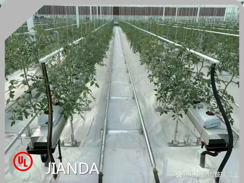 Tomato Grow House ISO/CE - - Jianda Greenhouse 1