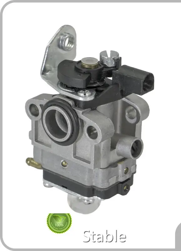 Small Engine Carburetor Manufacturers - - Stable-2 1