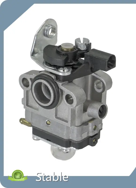 2 Stroke Power Sprayer Carburetor by Stable 1