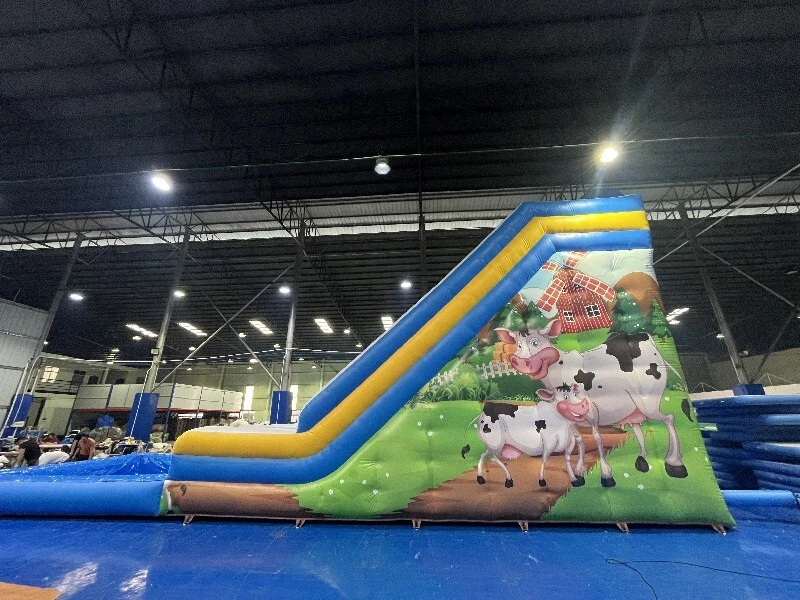 Barry Inflatable Tall Inflatable Slide Tall Inflatable Slidewith Good Price 3