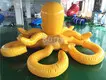 Professional Inflatable Pool Slide for Adults Company 3