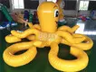 Professional Inflatable Pool Slide for Adults Company 2