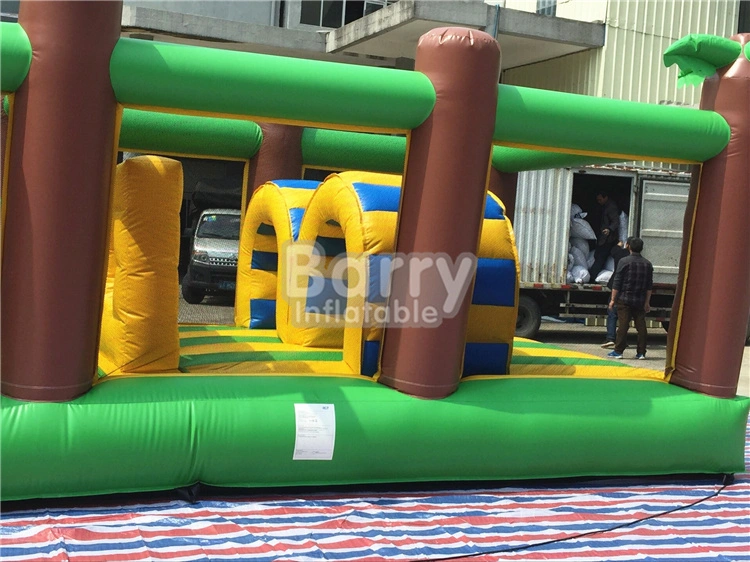 Inflatables Supplier Personalized 5