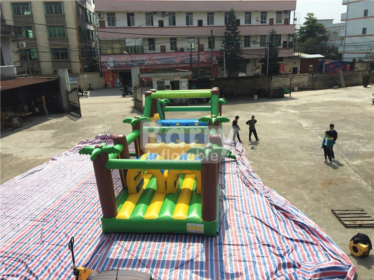 Inflatables Supplier Personalized 3