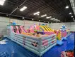 for Outdoor by Barry Inflatable 3