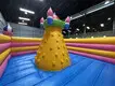 for Outdoor by Barry Inflatable 7