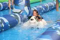 Wholesale Best Slip N Slide for Adults Price List 6
