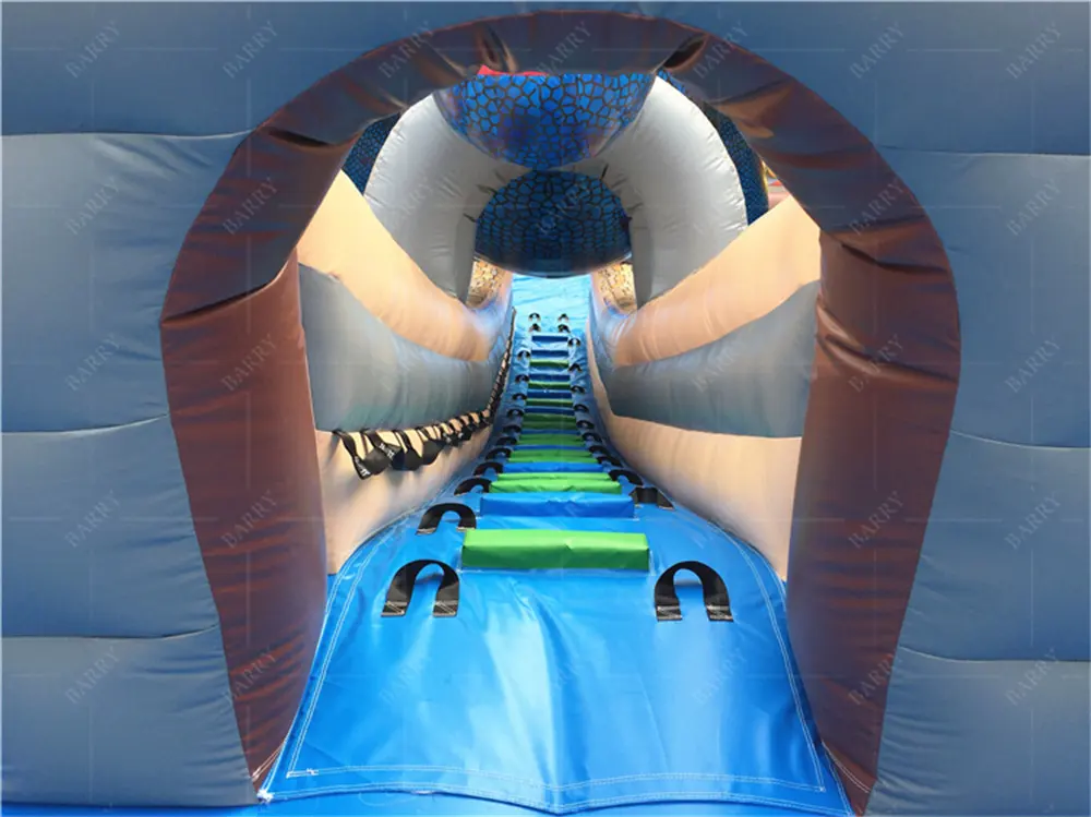 Barry Inflatable Inflatable Games for Sale Upplier 5