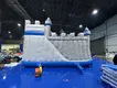 Barry Inflatable Party Inflatable Bouncers Factory Direct Supply 5