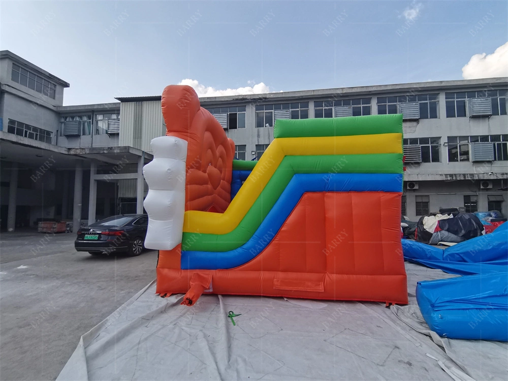 Inflatable Bouncer Castle Eries 2