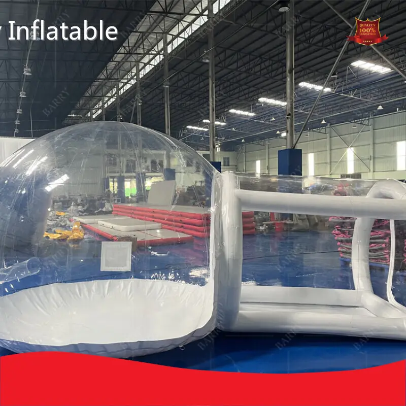 Bepoke Inflatable Tent for Party 1