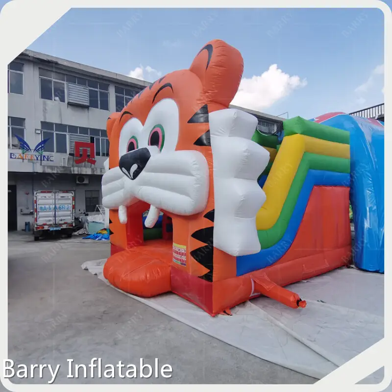 Inflatable Bouncer Castle Eries 1