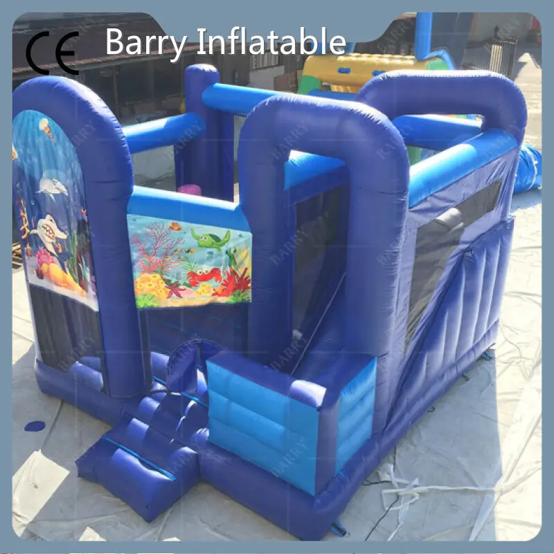 For Home - - Barry Inflatable 1