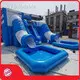 Barry Inflatable Indoor Inflatable Slide with Good Price 1