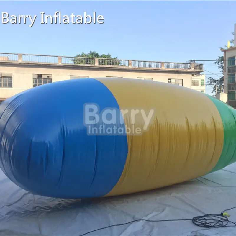 Large Inflatable Pool Slide - - Barry Inflatable 1