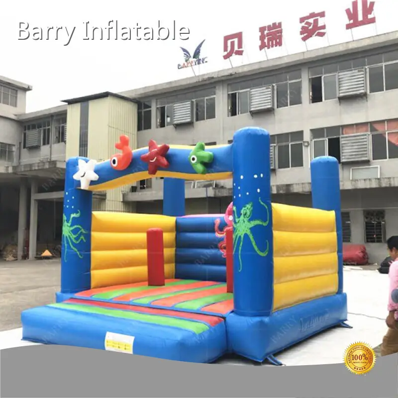 for Marketplace by Barry Inflatable 1