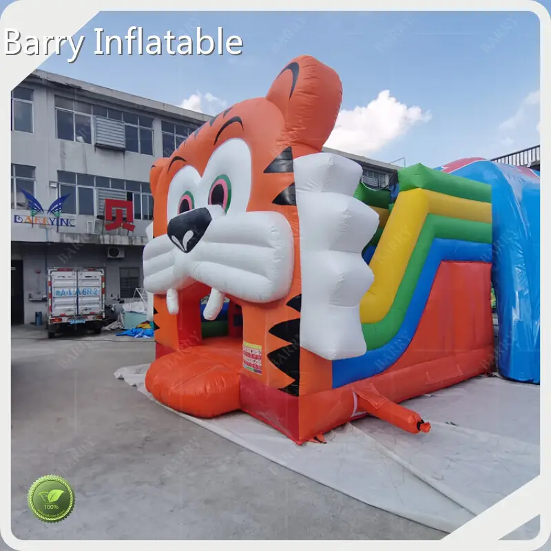 Magic Castle Inflatable Bouncer by Barry Inflatable 1