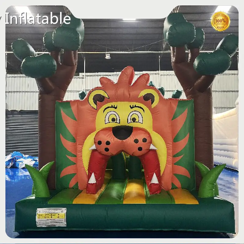 Oem & Odm Inflatable Playset 1