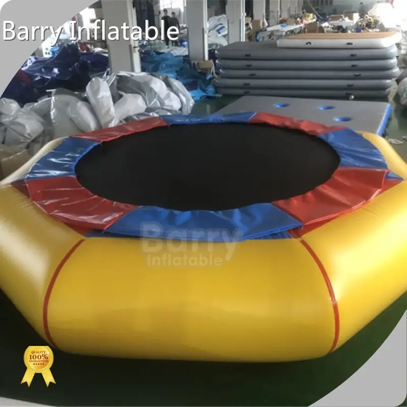 Inflatable Water Mat for Lake - - Barry Inflatable 1