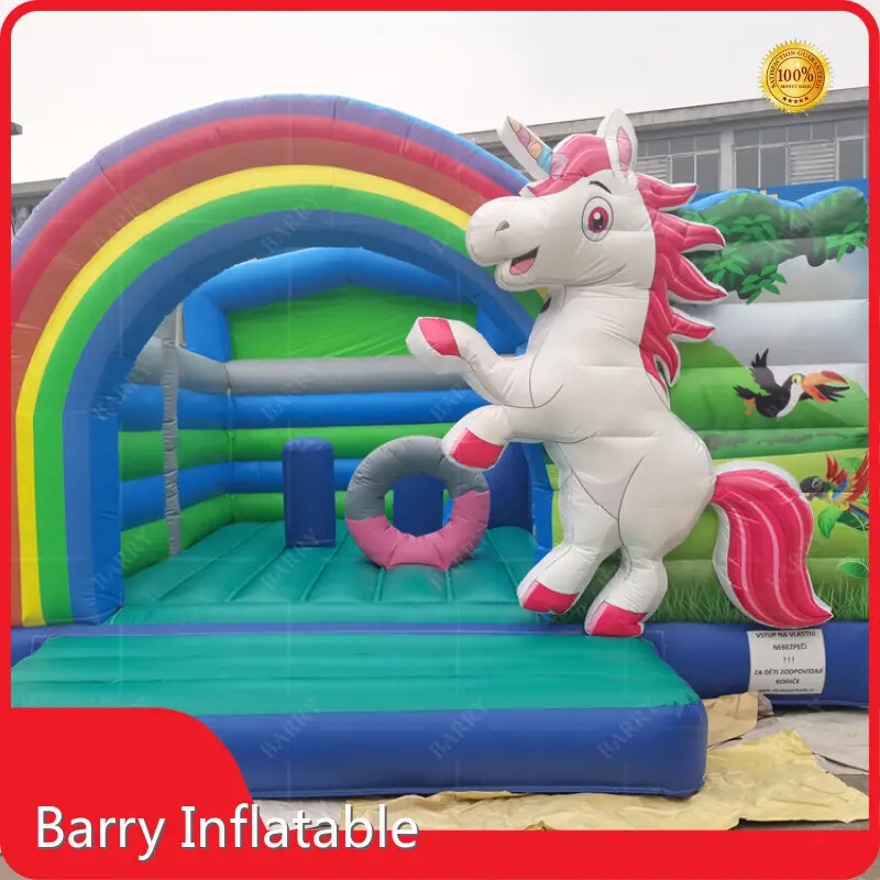 Professional Inflatable Fun Factory Prices 1