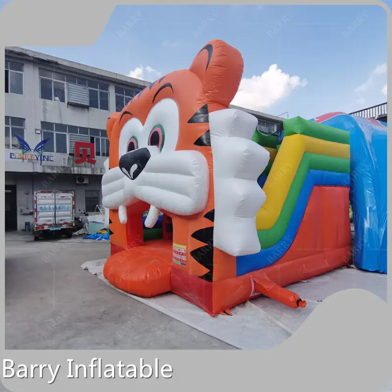 Newest Wet and Dry Inflatable Bouncers with Good Price 1